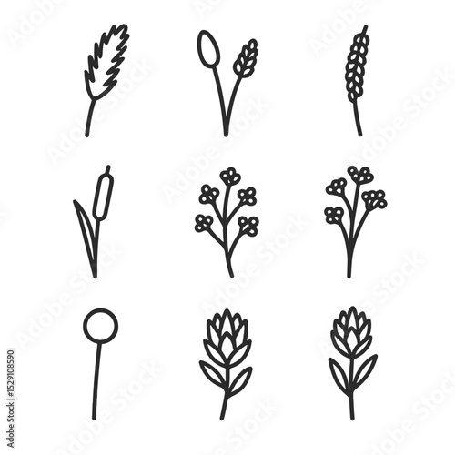 Dried Flower Icons. Outline icon set of dried flower arrangements: pampas grass plume, bunny tail grass, millet spray, cattail