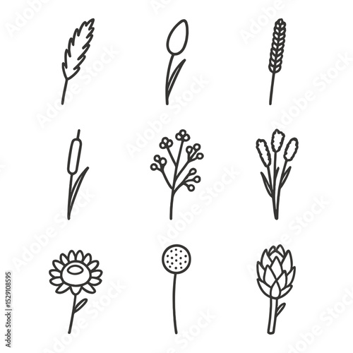 Dried Flower Icons. Outline icon set of dried flower arrangements: pampas grass plume, bunny tail grass, millet spray, cattail