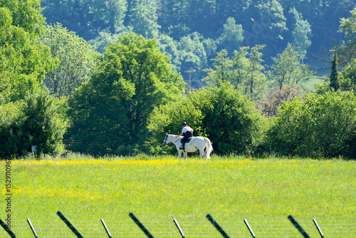 Wallpaper Mural Scenic rural landscape with female rider on white horse in the background on a sunny spring day near the airport. Photo taken May 1st, 2025, Zurich, Switzerland. Torontodigital.ca