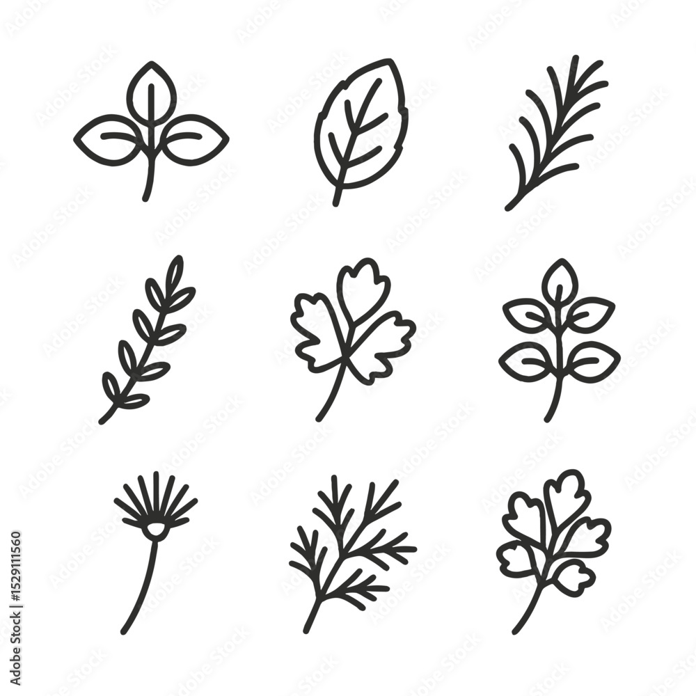 Herb Icon Set. Outline icon set of edible greenhouse herbs: basil sprig, mint leaf, rosemary twig, thyme branch, cilantro cluster, Herb Icon Set. Outline icon set of edible greenhouse herbs: basil sprig, mint leaf, rosemary twig, thyme branch, cilantro cluster,