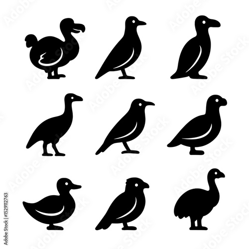 Extinct Birds Icon Grid. Solid, Filled icon set of extinct birds: dodo, passenger pigeon, great auk, moa, huia, Carolina parakeet,