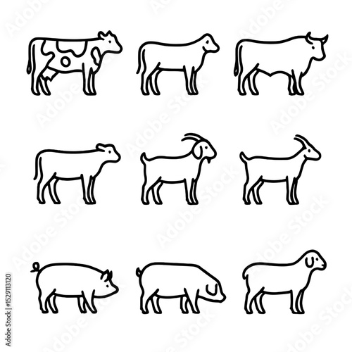 Livestock Line Icons. Outline icon set of livestock species and breeds: Holstein cow, Jersey cow, Angus bull, Charolais calf, Boer