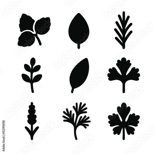 Herb Garnish Icons. Solid, Filled icon set of herb garnishes: mint sprig, basil leaf, rosemary twig, thyme sprig, sage leaf,