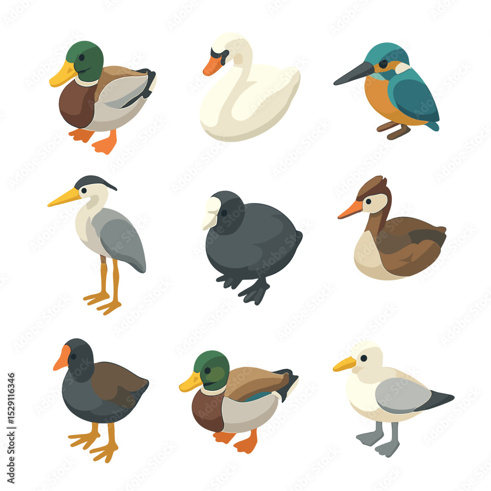 Obraz premium Pond Bird Icon Set. Isometric Flat icon set of pond bird visitors: mallard duck, swan, kingfisher, heron, coot, grebe, moorhen,