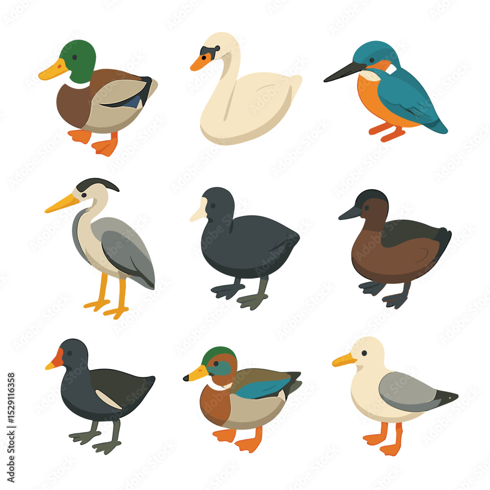 Fototapeta premium Pond Bird Icon Set. Isometric Flat icon set of pond bird visitors: mallard duck, swan, kingfisher, heron, coot, grebe, moorhen,