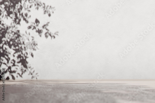 Empty outdoor stucco wall with plant shadow. Summer tropical background. Minimal exterior aesthetic architecture showroom. White textured concrete backdrop mockup template.