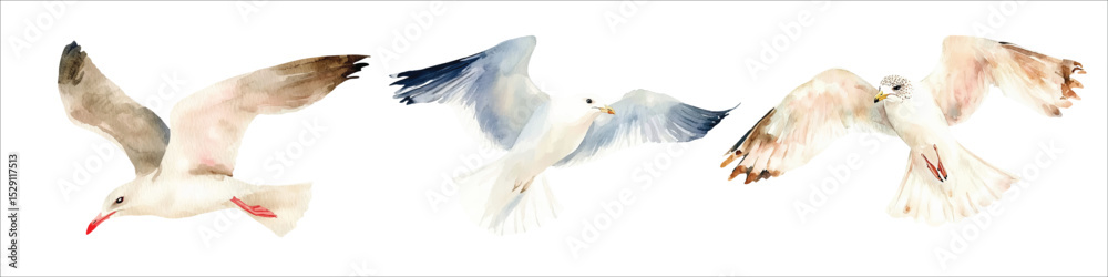 Fototapeta premium watercolor gull swooping for fish, isolated on a white background. Flying seagull vector illustration