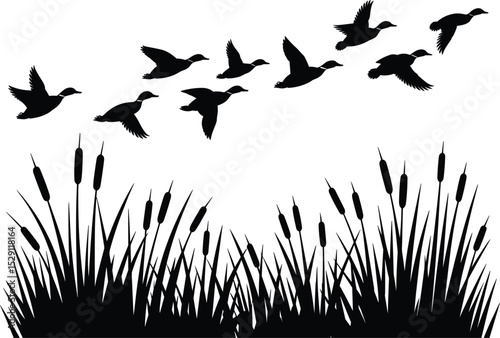 Dynamic Flock of Ducks Flying Over Lush Reeds: Vivid Vector Illustration Capturing Wildlife, Nature, Hunting, and Outdoor Scenes, Ideal for Rustic Designs