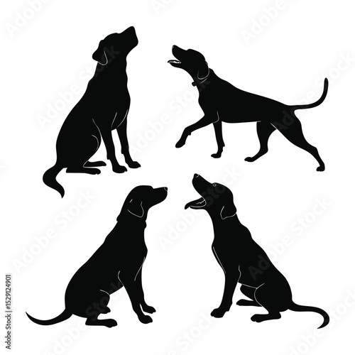 Black Dog Silhouettes - Various Poses
