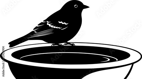 Silhouette of a Bird Resting on a Bird Bath in stark contrast
