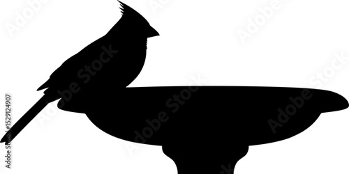 Silhouette of a Bird Resting on a Bird Bath in stark contrast
