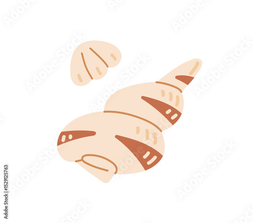 Icon of sea shells- conch and scallop. Tropical beach decoration- seashells, cockles, mollusks. Ocean clams, cockleshells, exotic shellfishes. Flat isolated vector illustration on white background