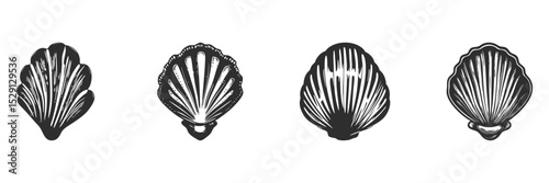 Seashell Silhouettes Collection. Marine Life And Beach Decor Elements Isolated Vector Illustration Set