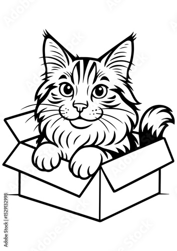 Black and white vector of a cute Maine Coon cat sitting in a box. Perfect for engraving, print, logos, coloring books, and creative projects.