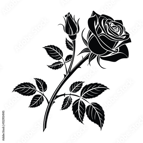 Rose flower silhouette vector illustration