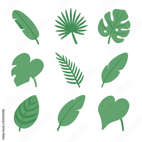 Isometric Tropical Leaf Icons. Isometric Flat icon set of tropical plant leaves: banana leaf, palm leaf, monstera leaf,