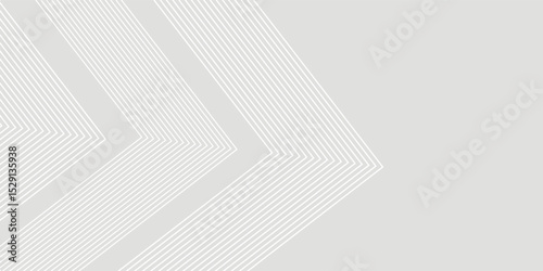gray and white abstract background modern patttern. smooth abstract background vector