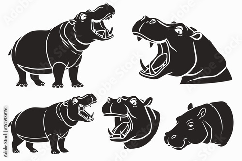 vector illustration of a black and white rhino