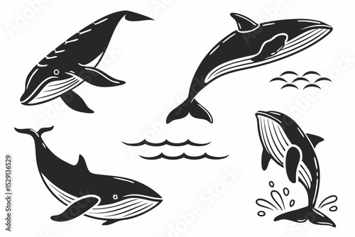 seamless pattern with dolphins
