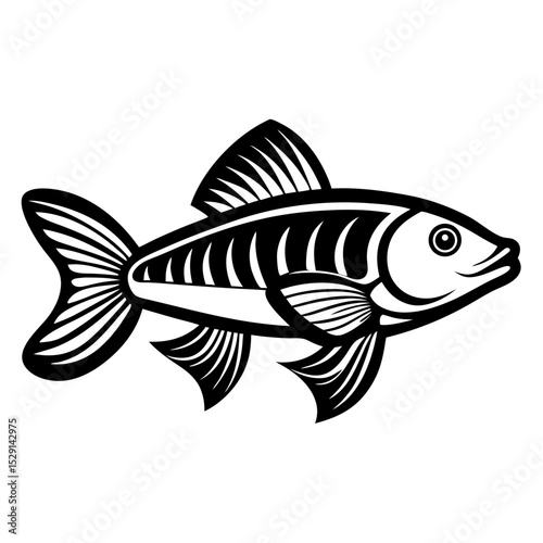 fish vector illustration