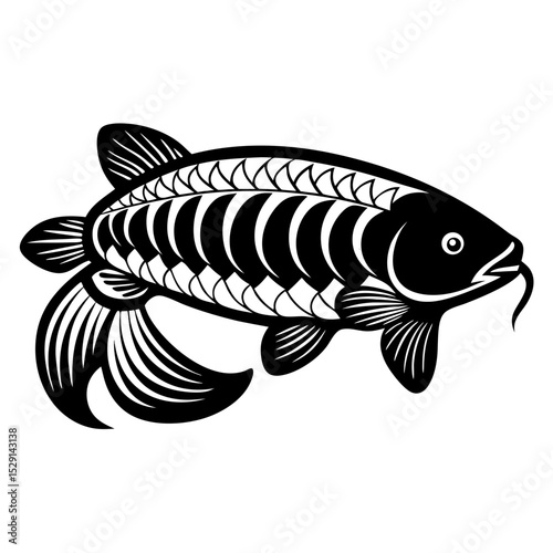 fish vector illustration