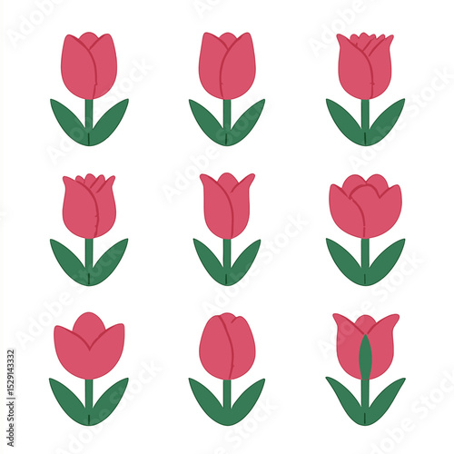 Tulip Varieties Icons. Flat icon set of tulip varieties: Darwin, Triumph, Parrot, Fringed, Lily-flowered, Double, Kaufmanniana,