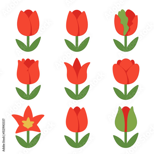 Tulip Varieties Icons. Flat icon set of tulip varieties: Darwin, Triumph, Parrot, Fringed, Lily-flowered, Double, Kaufmanniana,