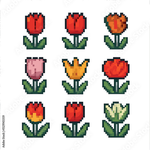 Tulip Varieties Icons. Pixel art icon set of tulip varieties: Darwin, Triumph, Parrot, Fringed, Lily-flowered, Double,