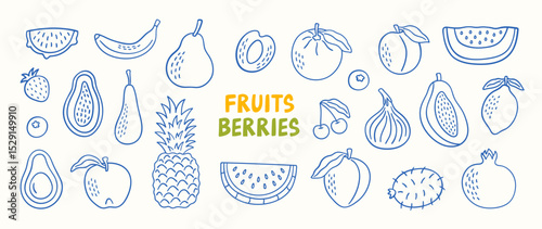 Doodle set of fruits and berries. Vector illustration. 