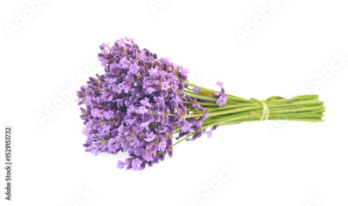 Lavender isolated on a white background. Bunch of purple, scented flowers.