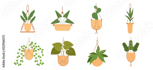 Vector illustration of a home plant in a hanging pot, perfect for interior decoration themes, featuring minimalist style and indoor greenery concept.