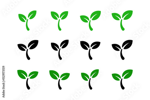 Plant sprout growth vector icon nature agriculture