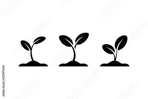 Plant growth stages seedling development vector art