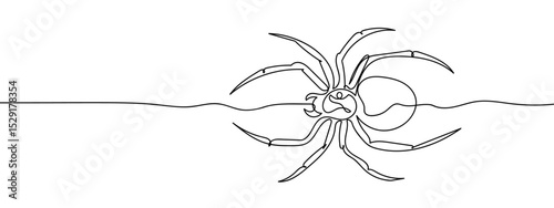 continuous line spider Vector art lines, transparent background, edit stroke