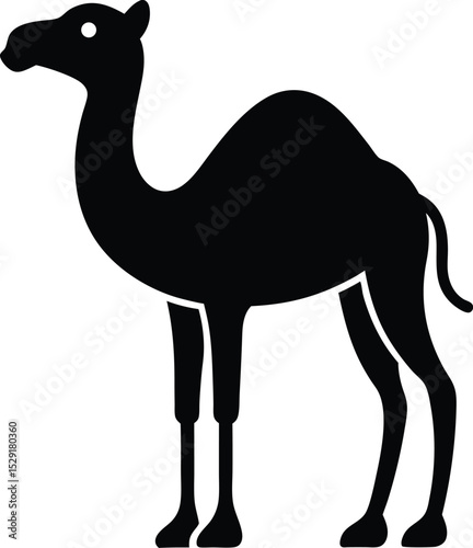 Camel vector illustration