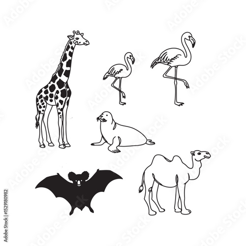 Line Art Animal Silhouettes Giraffe Flamingo Bat and Camel Outline Wildlife Designs