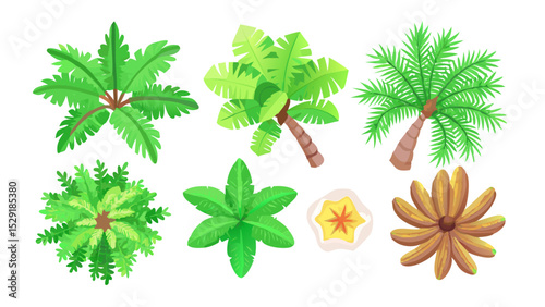 Top-Down Tropical Tree Collection Palm, Banana, and More! High-Resolution SVG for Design Projects