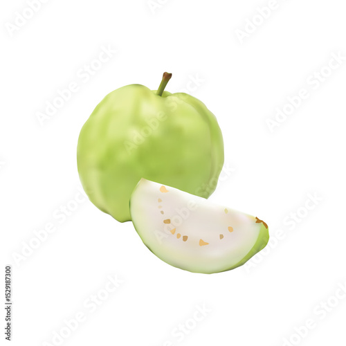 guava fruit illustration on white background Vol 01