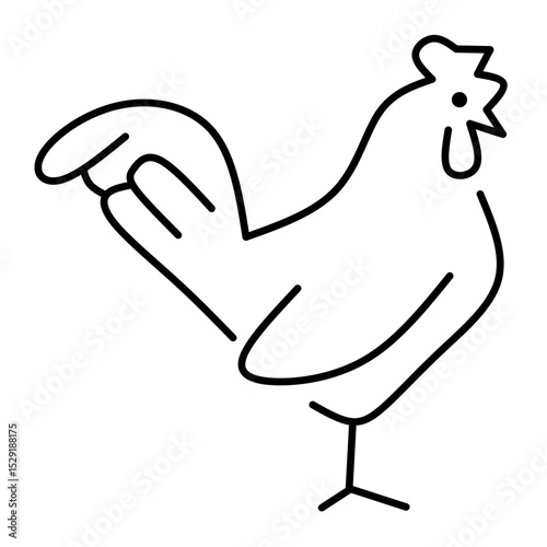 Chicken Vector Line