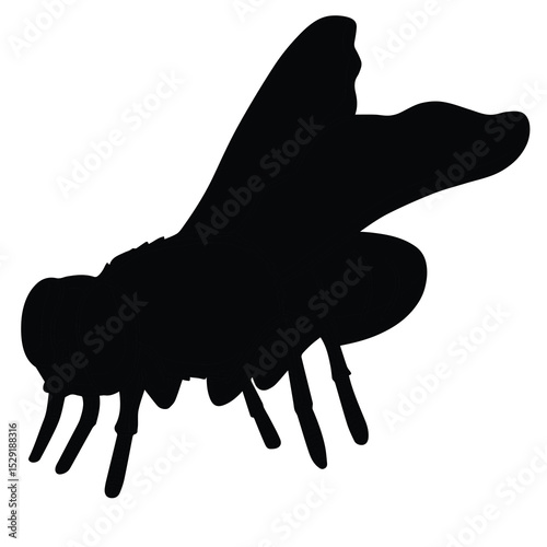Cute cartoon hand drawn vector house fly silhouette.