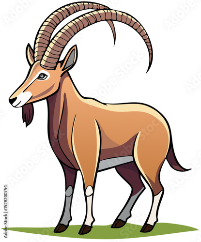 Cute Ibex Wild Animal
