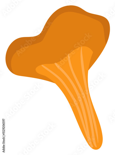 Bright orange mushroom growing in the woods, with a thick stem and wavy cap