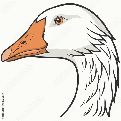 Detailed illustration of a goose head in profile view  