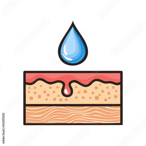 Water absorbent icon. Skin deep hydration symbol. Vector illustration isolated on white background.
