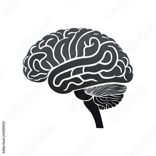 human brain vector illustration