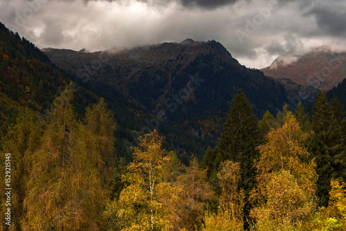 view of autumnal forest in Trentino Alto Adige with warm colors	
