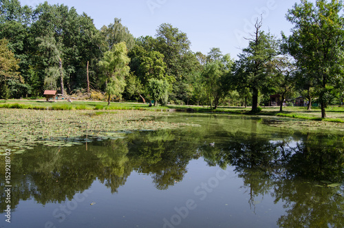 Fototapeta Naklejka Na Ścianę i Meble -  lake in the park