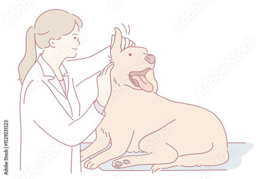 A dedicated vet provides exceptional care for a dog, demonstrating excellent animal health and veterinary services