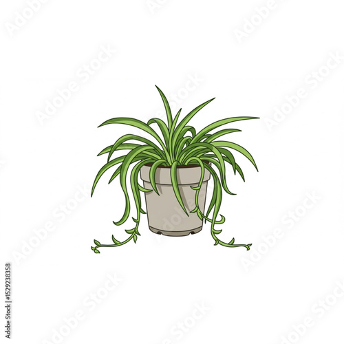 A charming potted spider plant graphic perfect for home decor projects, websites, or branding elements showcasing nature-inspired designs and botanical illustrations.