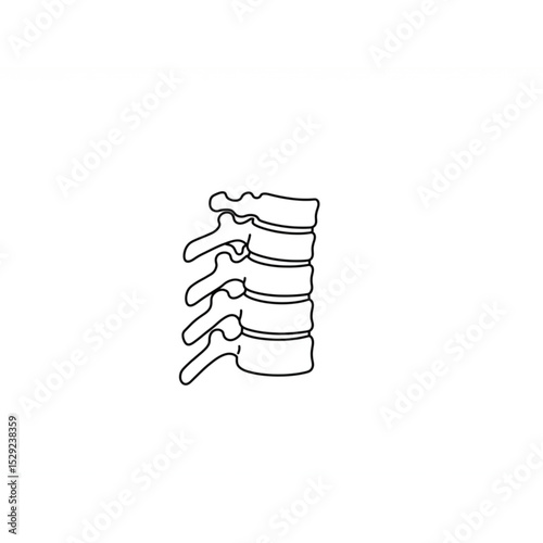 A clean line drawing of the human spine ideal for medical logos branding and educational materials.